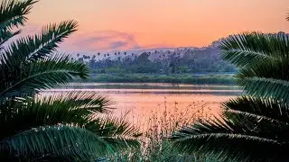 Kygo Type Beat - Tropical House Instrumental 2019 (Free Beats)