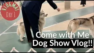 Going to a Dog Show! (+ Vlogmas Plans!) | Vlogmas Day 1