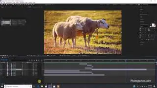 Split Layers in After Effects