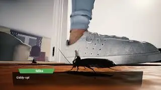 Girl who Shrunk the Neighbors PC gameplay 18+