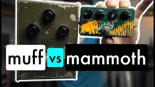 Bass Fuzz Pedal Shootout | The Pedal Studio
