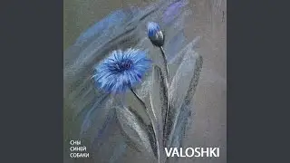 Valoshki