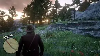 #RDR2 Master Hunter