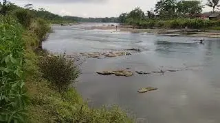 MBOLANG BATU DI SUNGAI KLAWING // DAPAT BATU AJIPPP