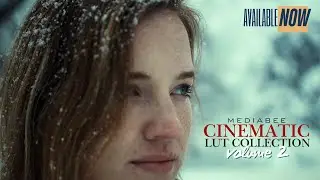 Cinematic Film LUTs vol. 2 by Mediabee 