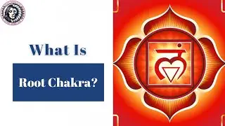What Is Root Chakra ? | Divinemomshubhub |