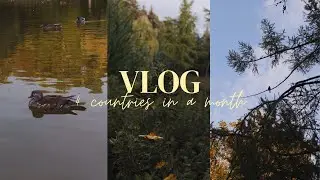 Europe 🐾