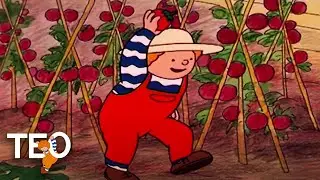 TEO | RECOGIDA DE MANZANAS | Episodios completos para niños | Compilación