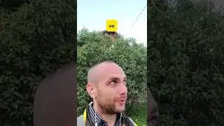 23 июля 2024 г.