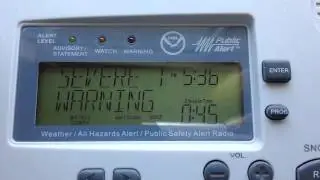 Severe Thunderstorm Warning (with an additional message) - EAS#65