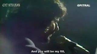 Cat Stevens Lady D'Arbanville lyrics