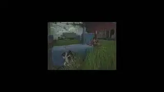 The Last Of Us Part 2 PS5 Grounded/Best Kills Gameplay/Seattle Day 3 p1#gaming#gameplay#ps5#games