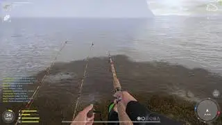 Норвежское море! Ловлю с берега на донку