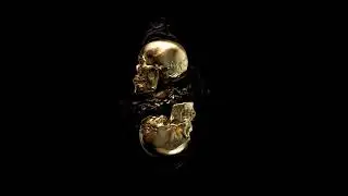 ZIFT & BRUT , MILA - Pola Snage