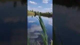 15 августа 2024 г.
