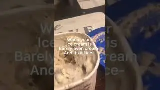 When your ice cream is barely even cream and its all ice