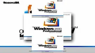 (YTPMV) Windows 2000 reversed Scan
