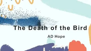 Discussion of Hope's "Death of the Bird"