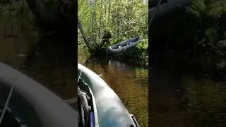 Приколы на рыбалке