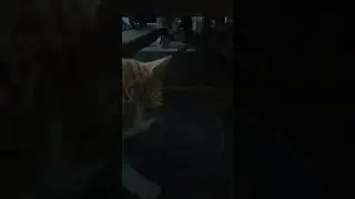 BUKAN KARENA KURANG MAKAN@Tikah Family