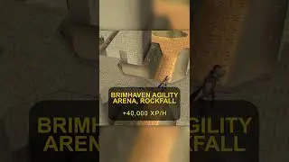 How To AFK Agility (OSRS)