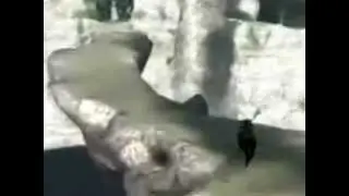Shadow of the Colossus   Parte 2   vídeo análise UOL Jogos