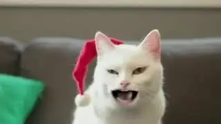 Kitty sings Jingle Bells, but ends up making everyone laugh
