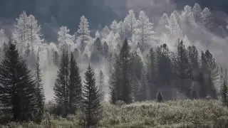 Мультинские озера на Алтае