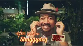 Review lagu Rocker Palsu Jabogar dari Heru Shagydog #Rockerpalsu #jabogar #officialreview