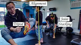 The TRUTH About Posture: The Movement Breakdown of Stacking Joints
