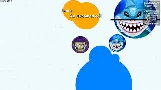 bubla.io and agar.io|i make the video because i am bored