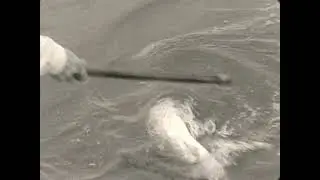 Mato Grosso 1930: Pescando na Selva