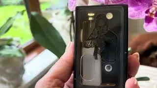 Single 21700 pure mech squonker