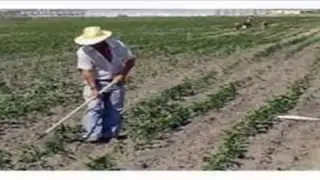 ¿Como obtener éxito y felicidad en la vida?