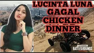 LUCINTA LUNA GAGAL CHICKEN DINNER DI MIRAMAR - PUBG MOBILE INDONESIA