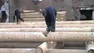 БорИзба - разметка и рубка в чашу
