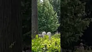 Московский зоопарк ❤