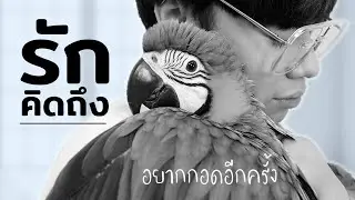 คลิปสุดท้ายกับล็อบสเตอร์...จากไปไม่ทันตั้งตัว ไม่ได้แม้แต่บอกลา