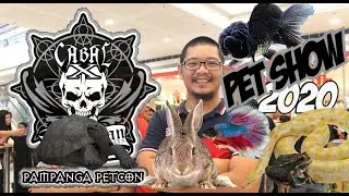 CABALEN EXOTIC PET SHOW 2020 (pampanga petcon)