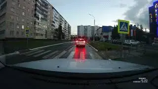 Умные собаки 👍