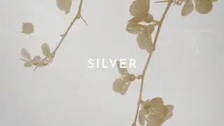 [FREE] Ta-Ku Type Beat "Silver" || SG Lewis Lo-Fi Type Beat