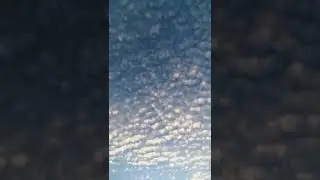 In the Aeroplane Over the Sea by Neutral Milk Hotel
