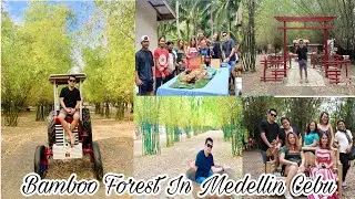 Suroy-Suroy sa Medellin Bamboo Forest
