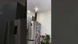 Кот-УправДом👍😁