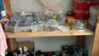 Our studio in St.Peterburg