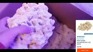 Rockscape for 10 gallon sps tank