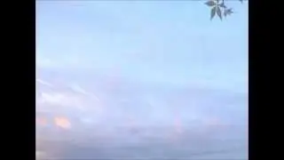 Звуковое Лото. Уровень I, Часть 1 (Животные)