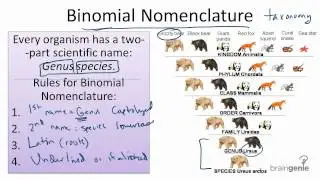 13.1.3 Binomial Nomenclature