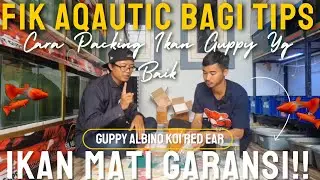 DIKASIH TIPS NIH || CARA PACKING IKAN GUPPY.. BIAR PERJALANAN JAUH SAMPAI DGN KONDISI TTP SEHAT?