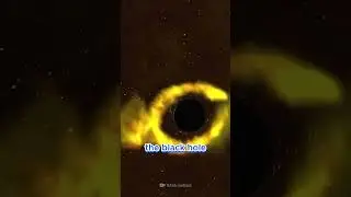 The Sun's Last Stand: A Battle Against a Black Hole